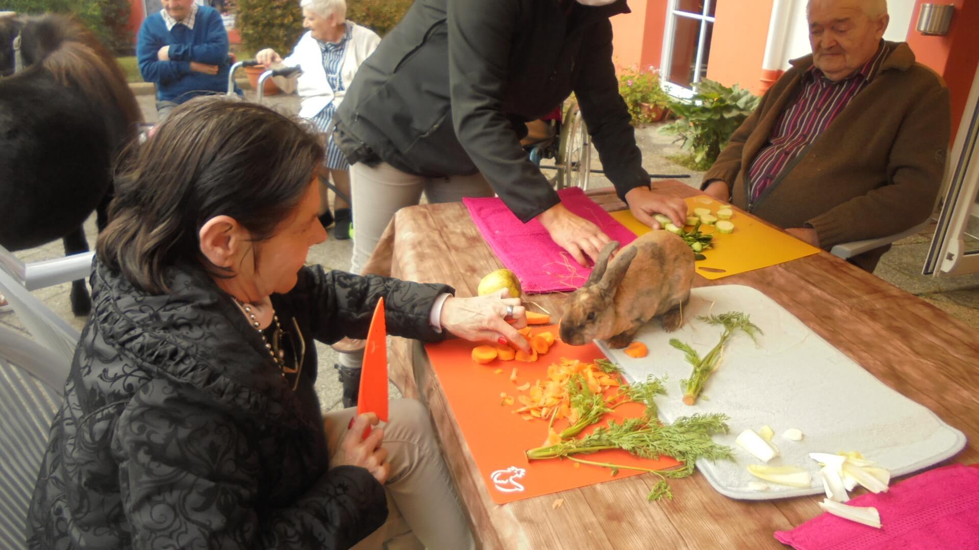 Atelier médiation animale - le 15 octobre