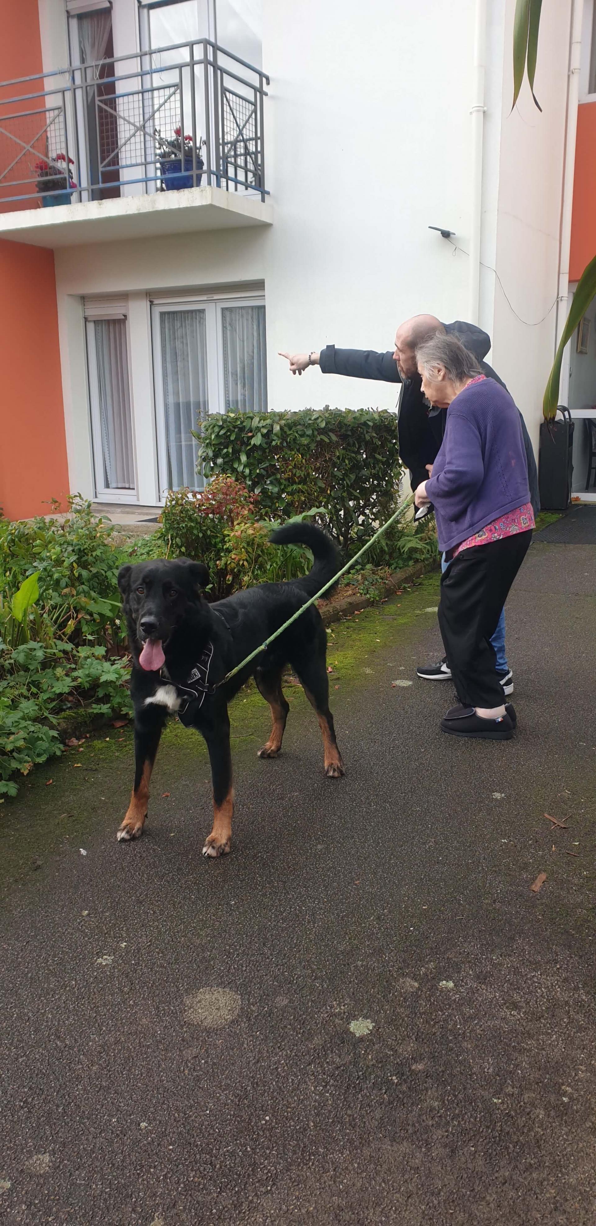 Médiation animale - le 14 novembre