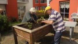 Atelier jardinage - le 26 août