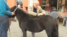 Atelier médiation animale - le 15 octobre